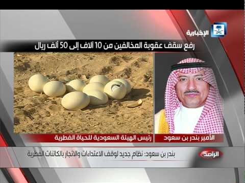 شاهد رفع عقوبة المعتدين على المحميات 500