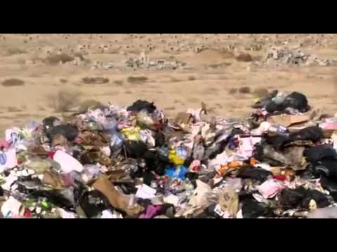 شاهد بلدية أملج تجمع النفايات قرب المقبرة العامة