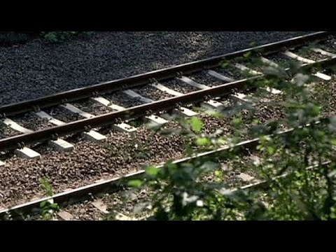 شاهد الباحثون عن الكنوز يواصلون التوافد إلى بولندا