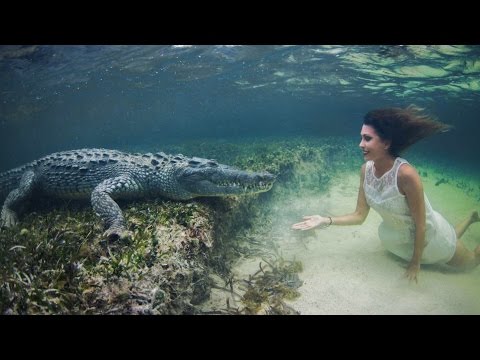 بالفيديو عارضة أزياء تسبح بجوار تمساح مفترس