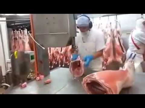 22 مليون مشاهدة لأسرع طريقة لتقطيع لحوم الأضاحي