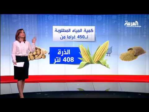 البرغر النباتي واللحوم البديلة تزحف للأسواق العالمية