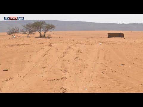 التصحر يطال 70 من السودان