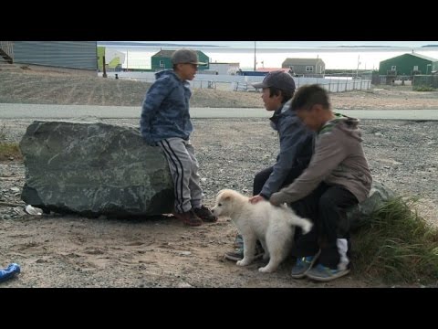 شاهد مناطق كندا القطبية تعاني من الاحترار المناخي