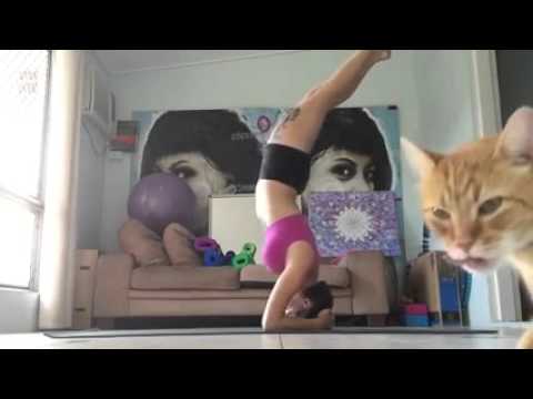 بالفيديو أرخم قط في العالم يضحك الملايين