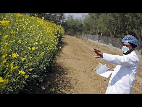 شاهد رفض اقتراح المفوضية الأوروبية حول المواد الغذائية المعدّلة جينيًا