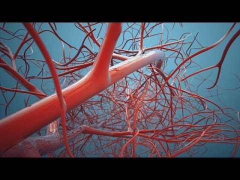 شاهد تطوير طابعة ثلاثية الأبعاد لطباعة الأوعية الدموية