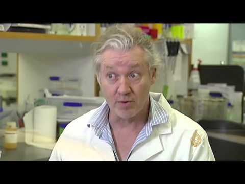 فيديو تفكيك جينة نبتة أسترالية تخدم جهود توفير الأمن الغذائي