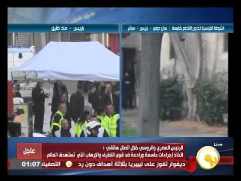 شاهد السيسي ونظيره الروسي يبحثان تعزيز العلاقات ومكافحة الإرهاب
