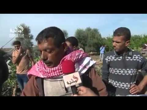 شاهد سلطة الأراضي تبدأ هدم منازل المواطنين في المحلول