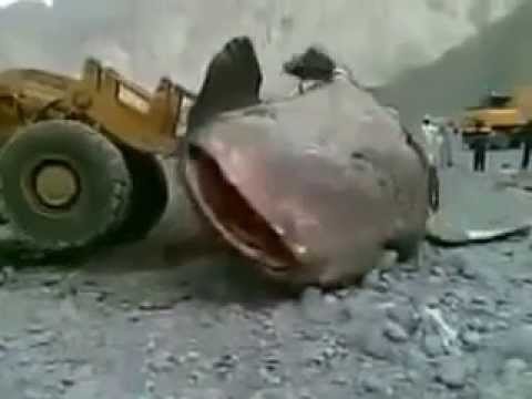 شاهد مهمة شاقة لدفن حوت نفق على الشاطئ