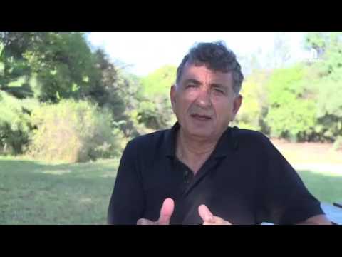 شاهد تونس تخسر لقبها كأكبر مصدر لزيت الزيتون