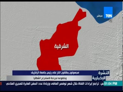 مجهولون يطلقون النار على رئيس جامعة الزقازيق