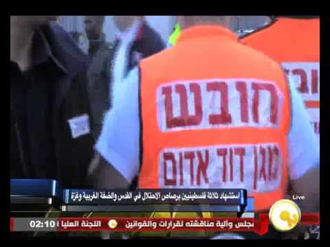 مقتل ثلاثة فلسطينيين برصاص الاحتلال في القدس والضفة وغزة