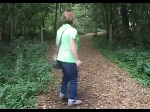 شاهد غابة مهتزة في ألمانيا تُربتها تشبه الإسفنج