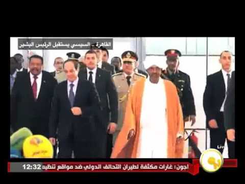 فيديو حصاد العلاقات المصرية الأفريقية العام 2015