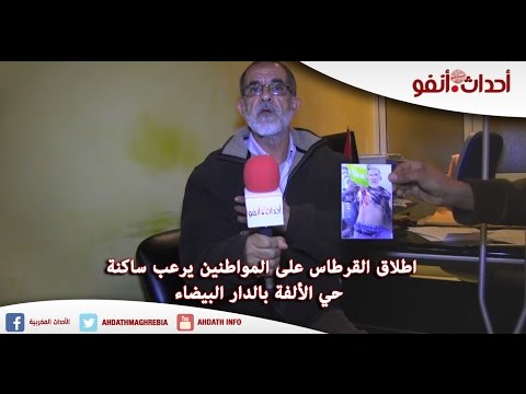 بالفيديو إطلاق القرطاس على المواطنين في حي الألفة