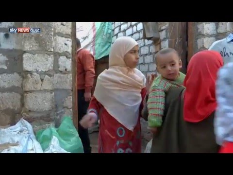 شاهد حملات لمكافحة البرد في مصر