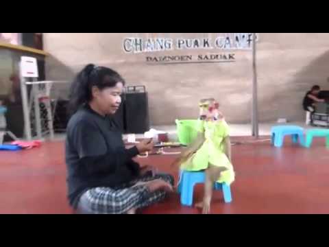 شاهد القردة ستايل صرخة جديدة فى عالم الموضة