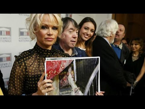 فيديوباميلا أندرسون ضد تزغيط البط والوز في فرنسا