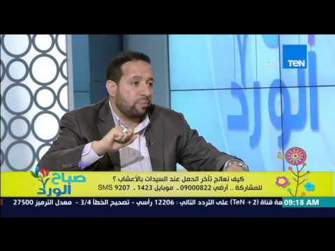 بالفيديو أهمية طلح النخيل فى تأخر الإنجاب عند المرأة والرجل