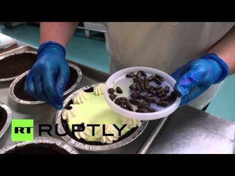 بالفيديو متجر كندي يقدم حلويات ممزوجة بالحشرات للزبائن