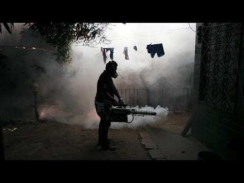بالفيديو فيروس زيكا يثير الاستنفار في القارة الأميركية