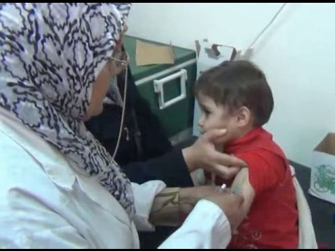 شاهد مخاطر انفلونزا الخنازير تهدد الشمال السوري