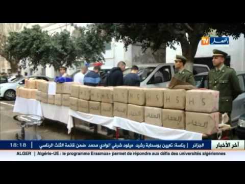 شاهد الدرك الوطني يحجز 1050 كلغ من الكيف المعالج في وهران