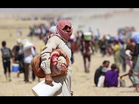 شاهد الأمم المتحدة تعلن أن ثلث العراقيين بحاجة لمساعدات عاجلة