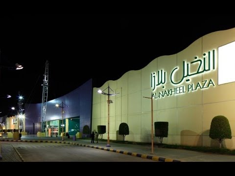 الهيئة تعاقب أعضاءها في قضية النخيل مول