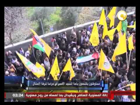 شاهد مستوطنون يقتحمون باحة المسجد الأقصى