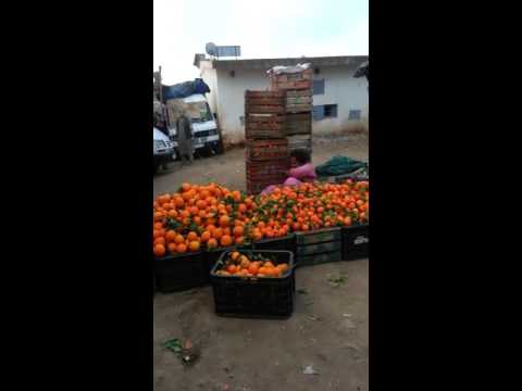 بالفيديو رجل يعتدي على بائعة بطريقة وحشية في الشارع