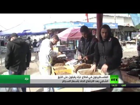 شاهد التبغ الشامي بديل للسجائر في غزة