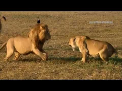 فيديو مواقف مؤلمة ومحرجة يتعرض لها بعض الأشخاص