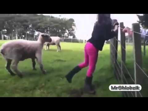 فيديو أشخاص يقومون بمقالب مضحكة