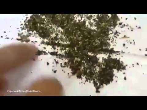 شاهد حقيقة فيديو الديدان الحية داخل عبوات شاي ليبتون