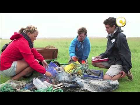 مشكلة النفايات في العالم وتأثيرها على البيئة