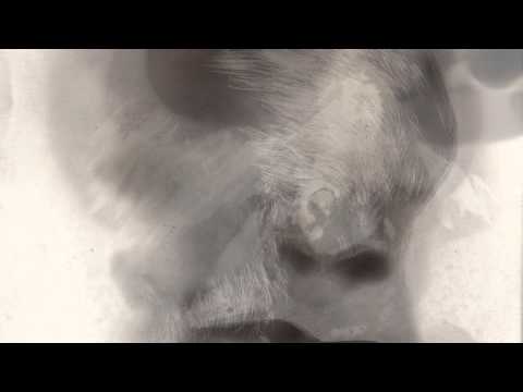 شاهد الإبداع في الرسم بالدم والقيء ودخان الشموع