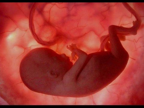 بالفيديو 4 أسباب تؤدي إلى اختناق الجنين داخل الرحم