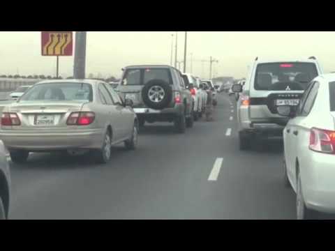 فيديو  نمر يتجول في الشوارع القطرية