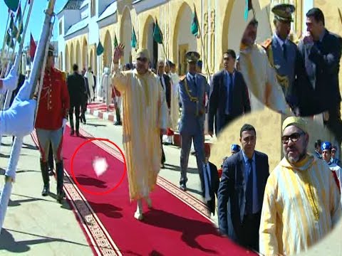 أناكوندا عملاقة تبتلع حصانًا