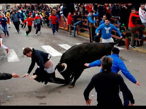 فرنسية تسخر من المغاربة بسبب لبنى أبيضار