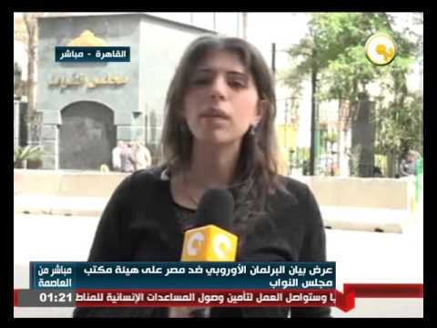 رد فعل وزارة الخارجية المصرية حول بيان البرلمان الأوروبي ضد مصر