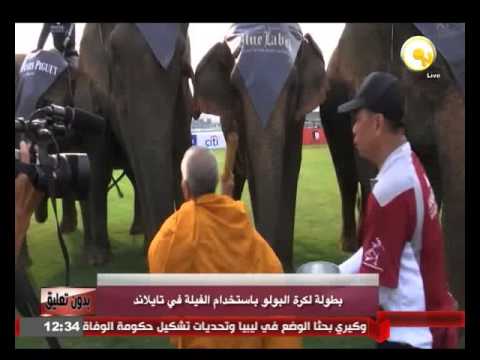 بطولة لكرة البولو باستخدام الفيلة في تايلاند