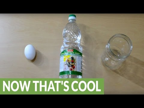 4 خطوات لتحويل بيضة إلى كرة نطاطة