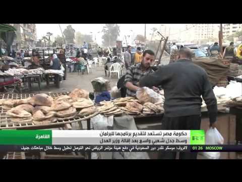 شاهد الحكومة المصرية تقدم برنامجها للبرلمان