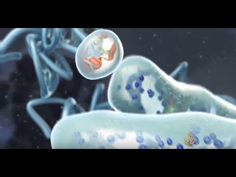 شاهد تركيبة دوائية تقضي على سرطان الثدي