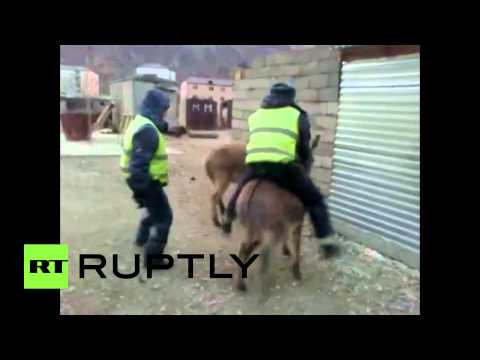 الشرطة الداغستانيّة تصوّر أحد أفرادها على ظهر حمار