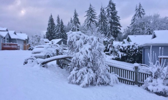  عمان اليوم - تفسير رؤية الثلج في المنام